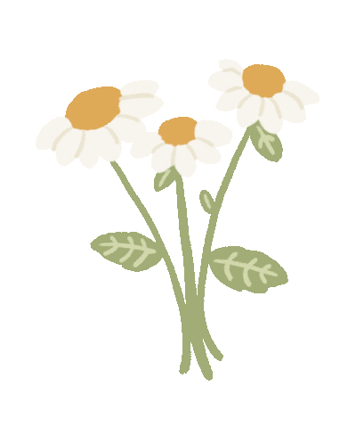 Flowers for you