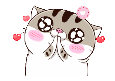 Cute Kitten
